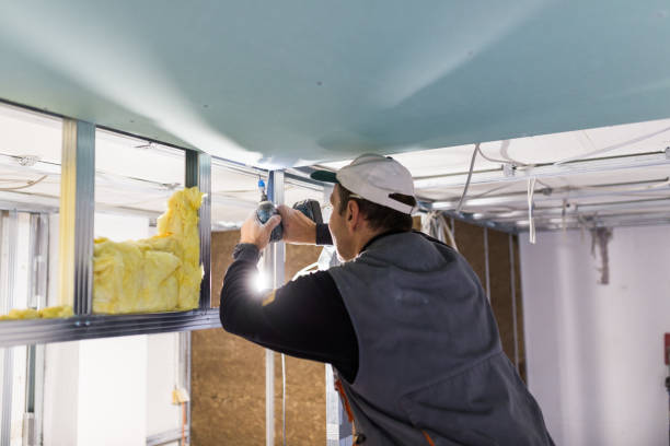 Best Commercial Insulation in Lathrop, CA